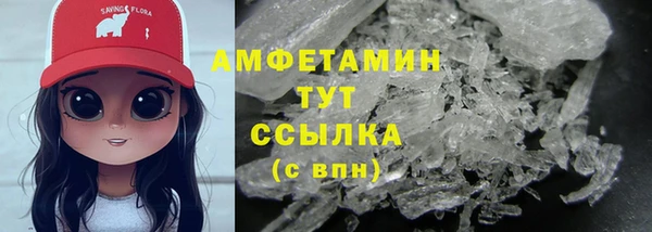гидра Надым