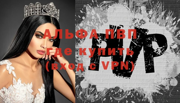 гидра Надым