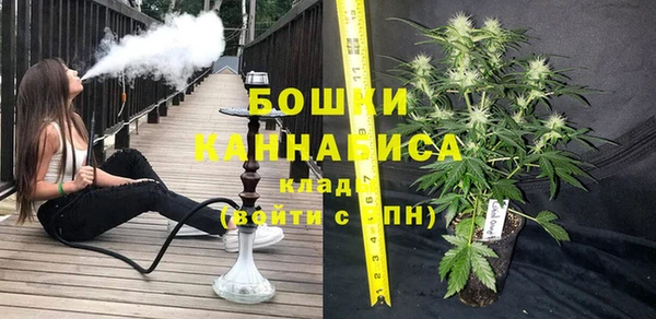 гидра Надым