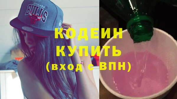 гидра Надым