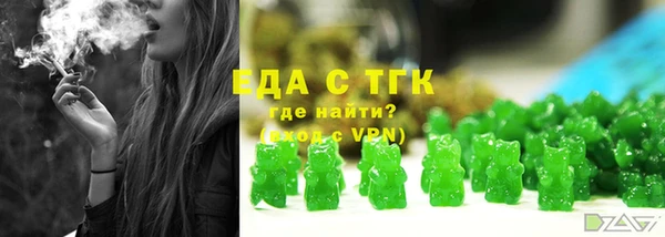 гидра Надым