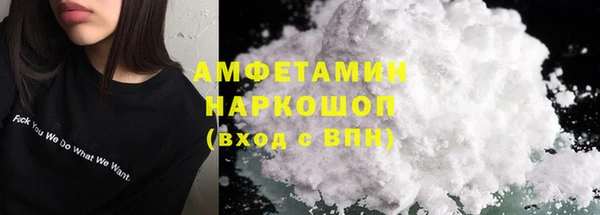 гидра Надым