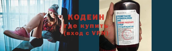гидра Надым