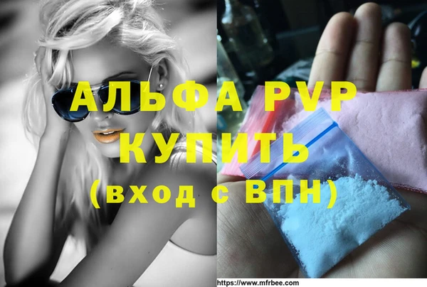 гидра Надым