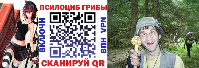Псилоцибиновые грибы Psilocybine cubensis Красный Сулин