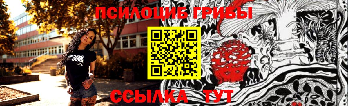 Псилоцибиновые грибы GOLDEN TEACHER  Вход с VPN  Красный Сулин 